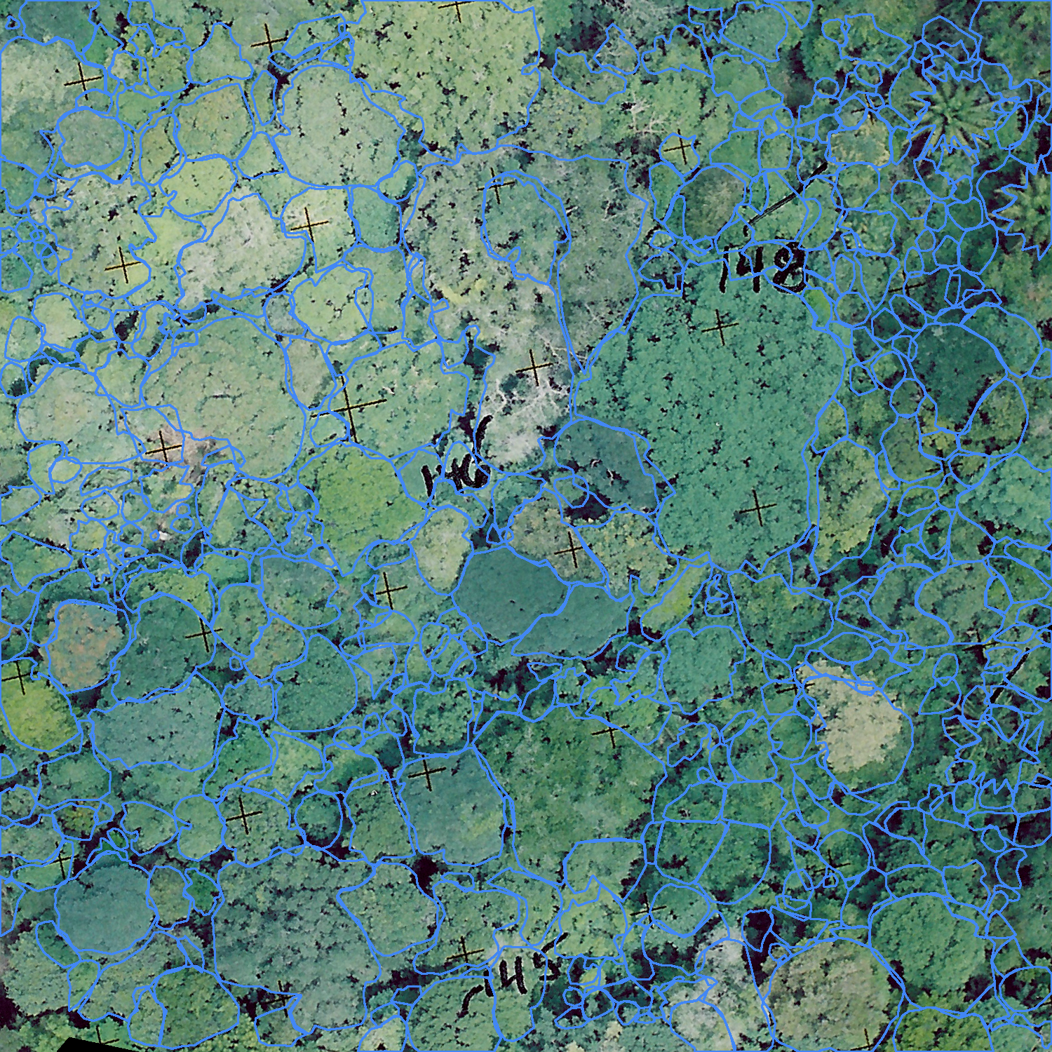 sample_image