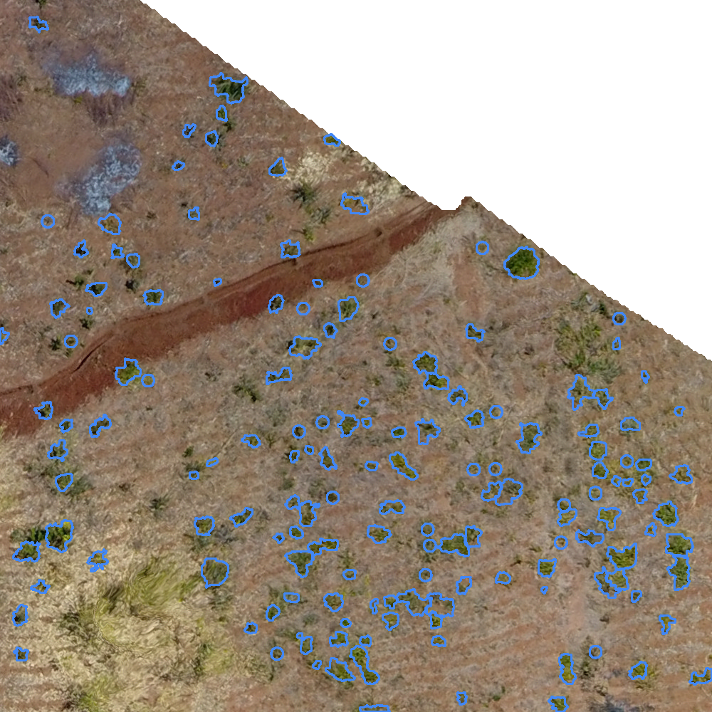 sample_image