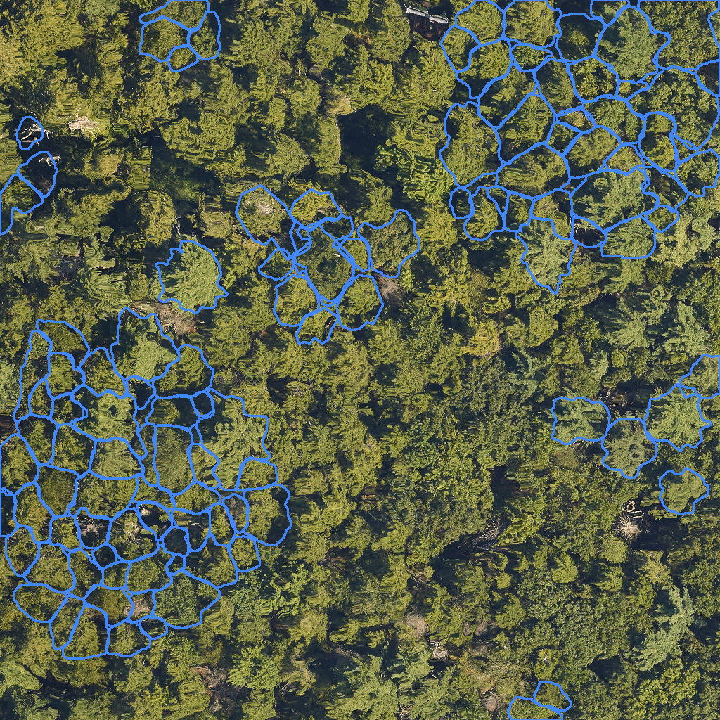 sample_image