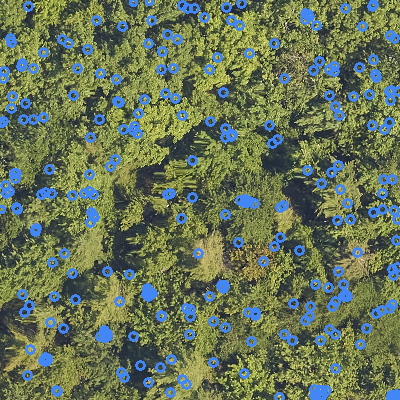 sample_image