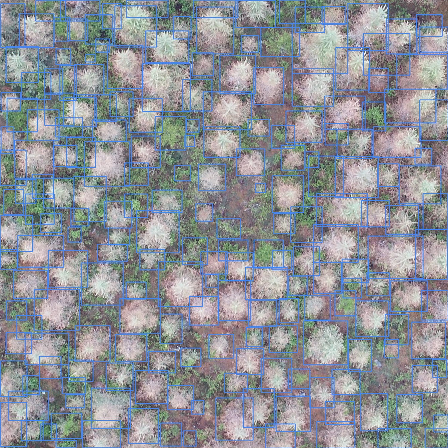 sample_image