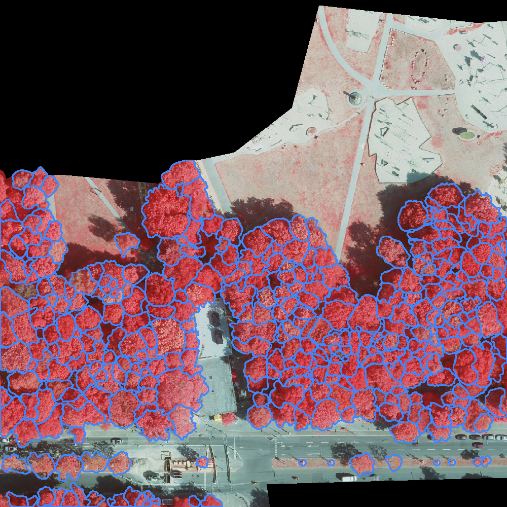 sample_image