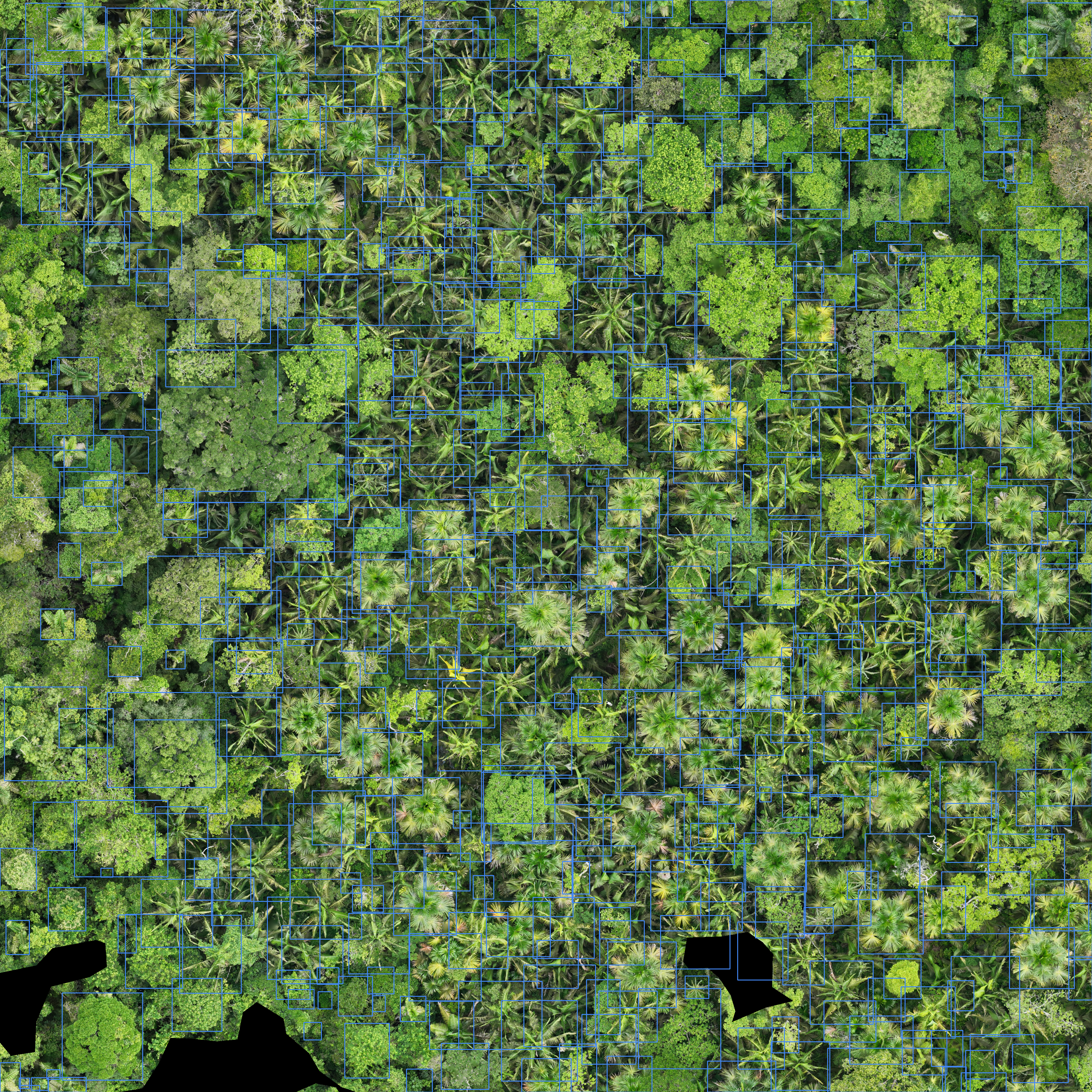 sample_image