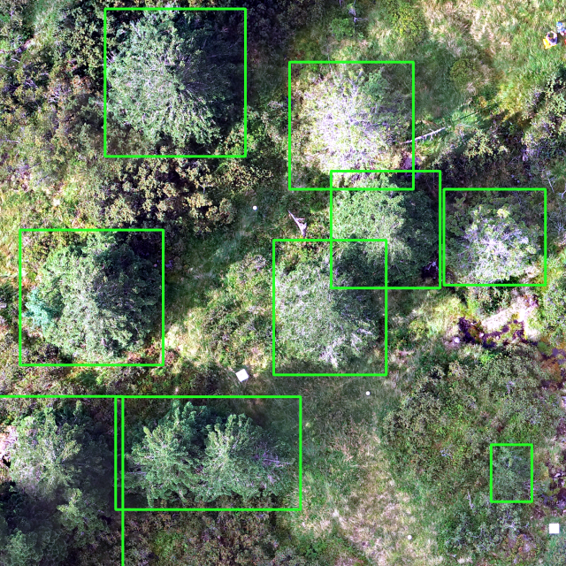 sample_image