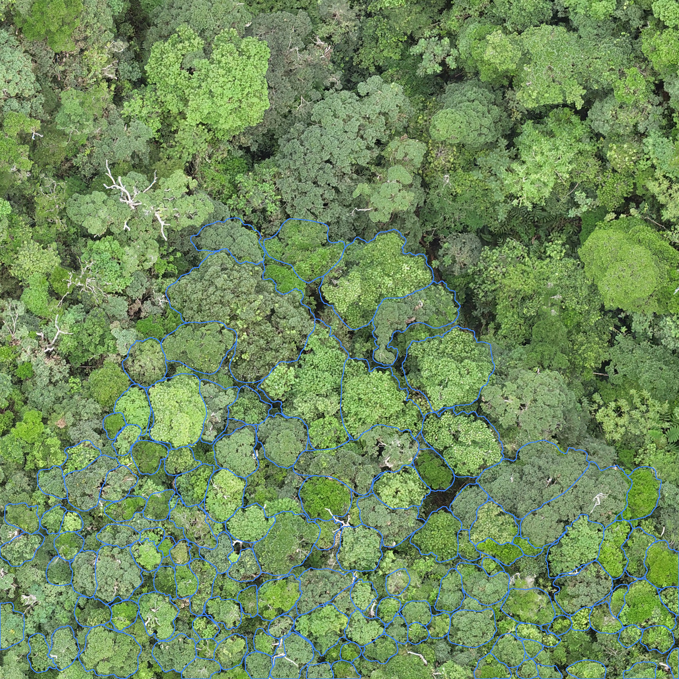 sample_image