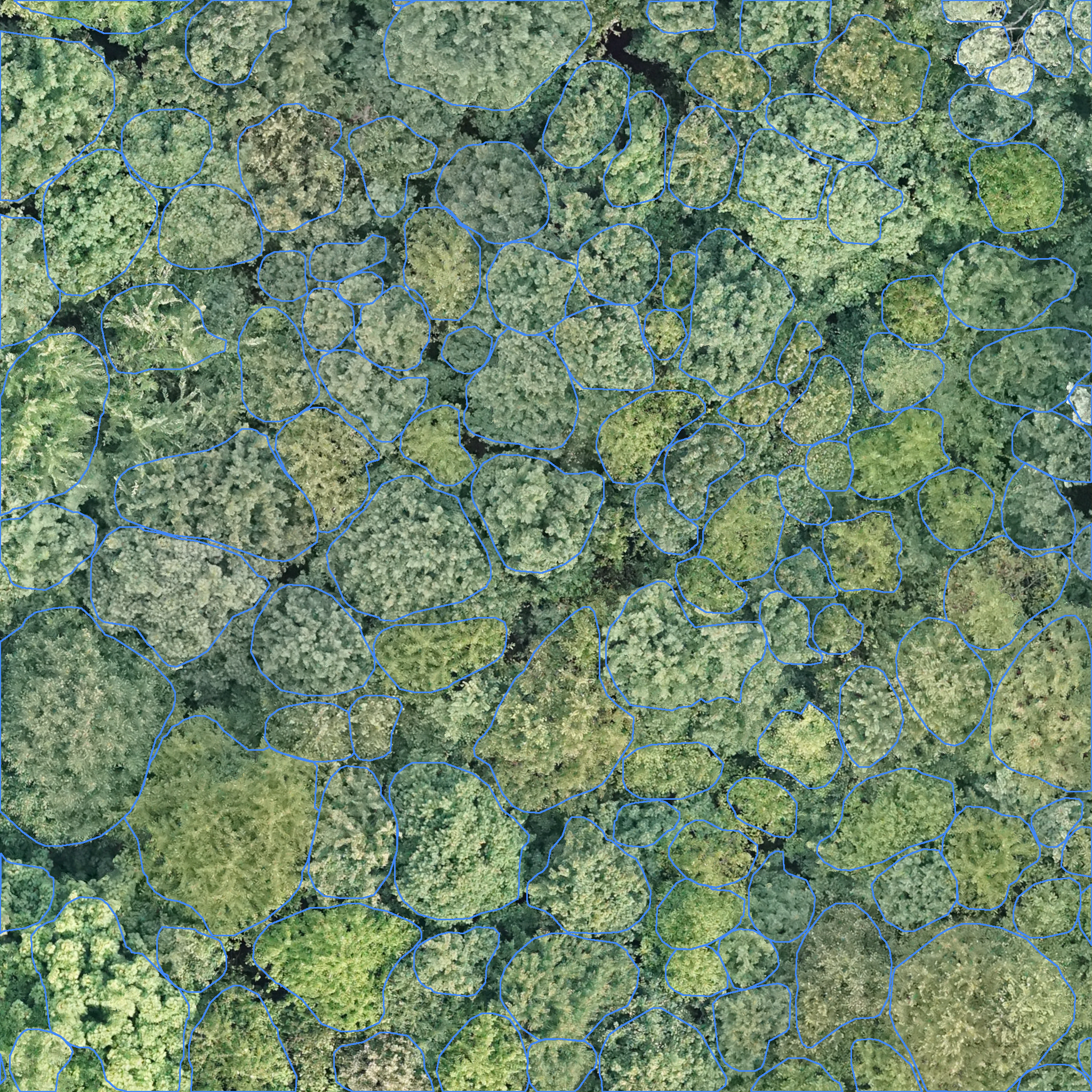 sample_image