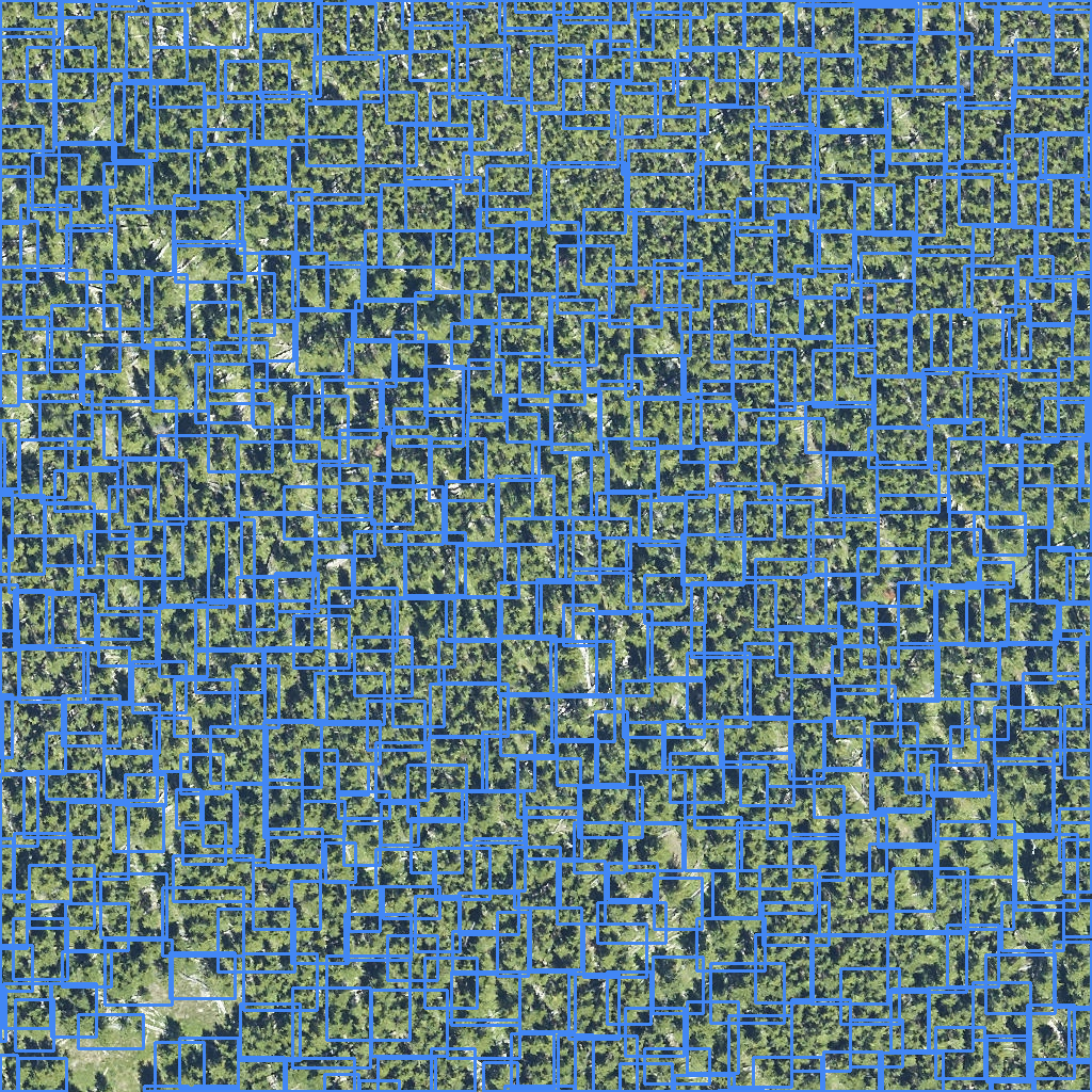 sample_image