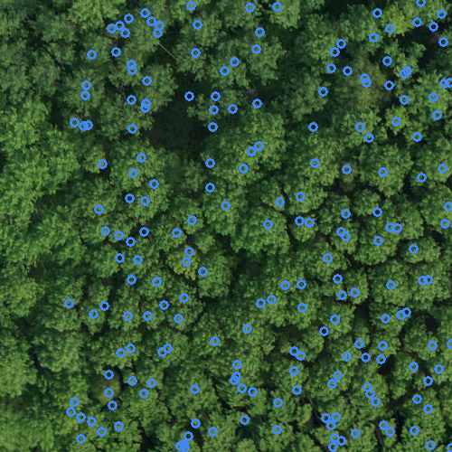 sample_image