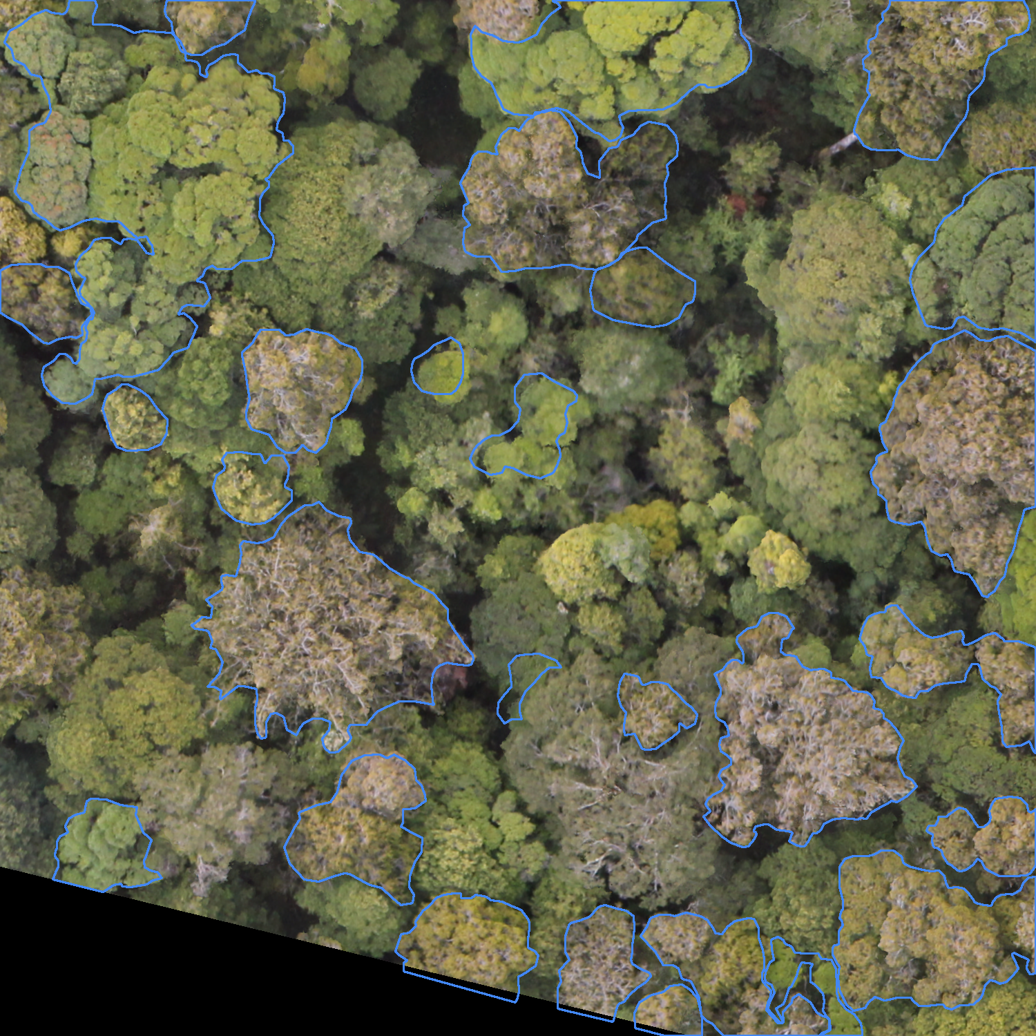 sample_image