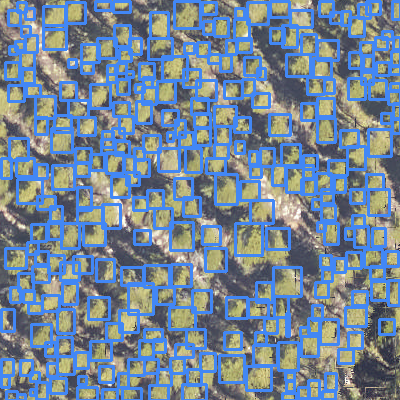 sample_image