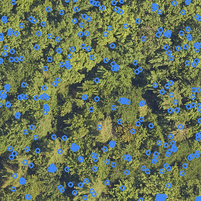 sample_image