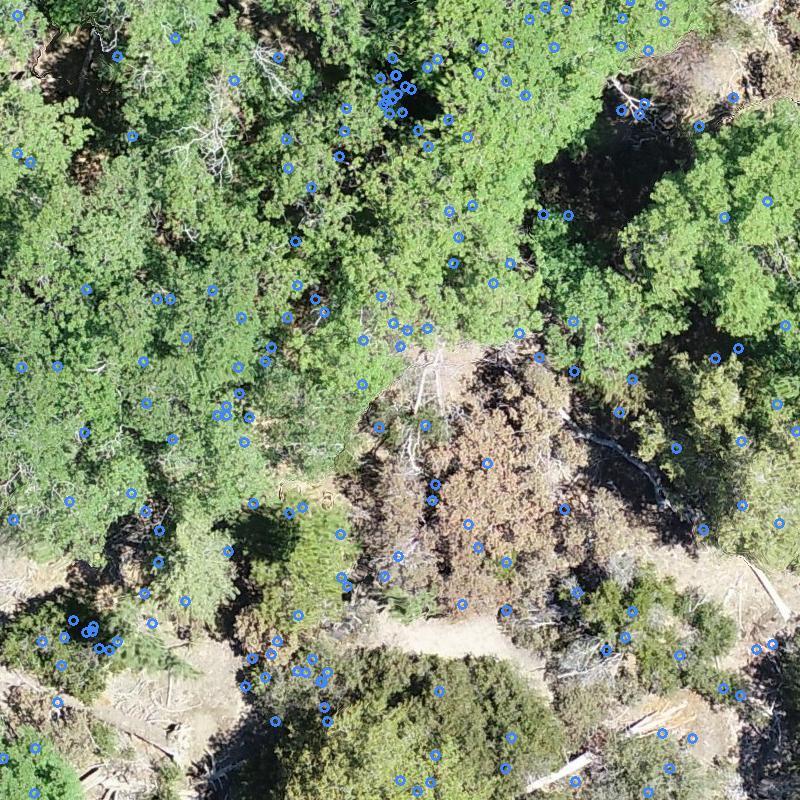 sample_image