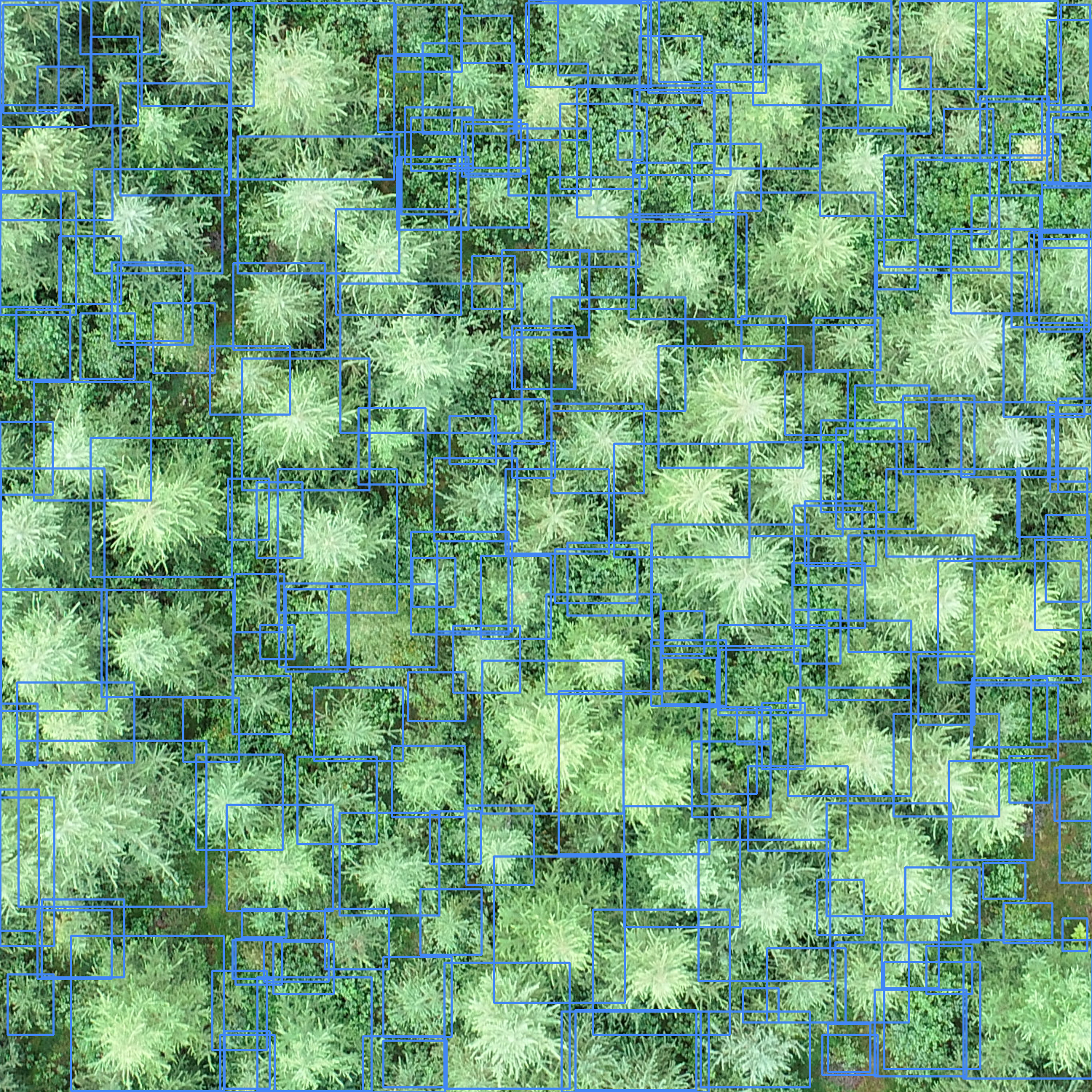 sample_image