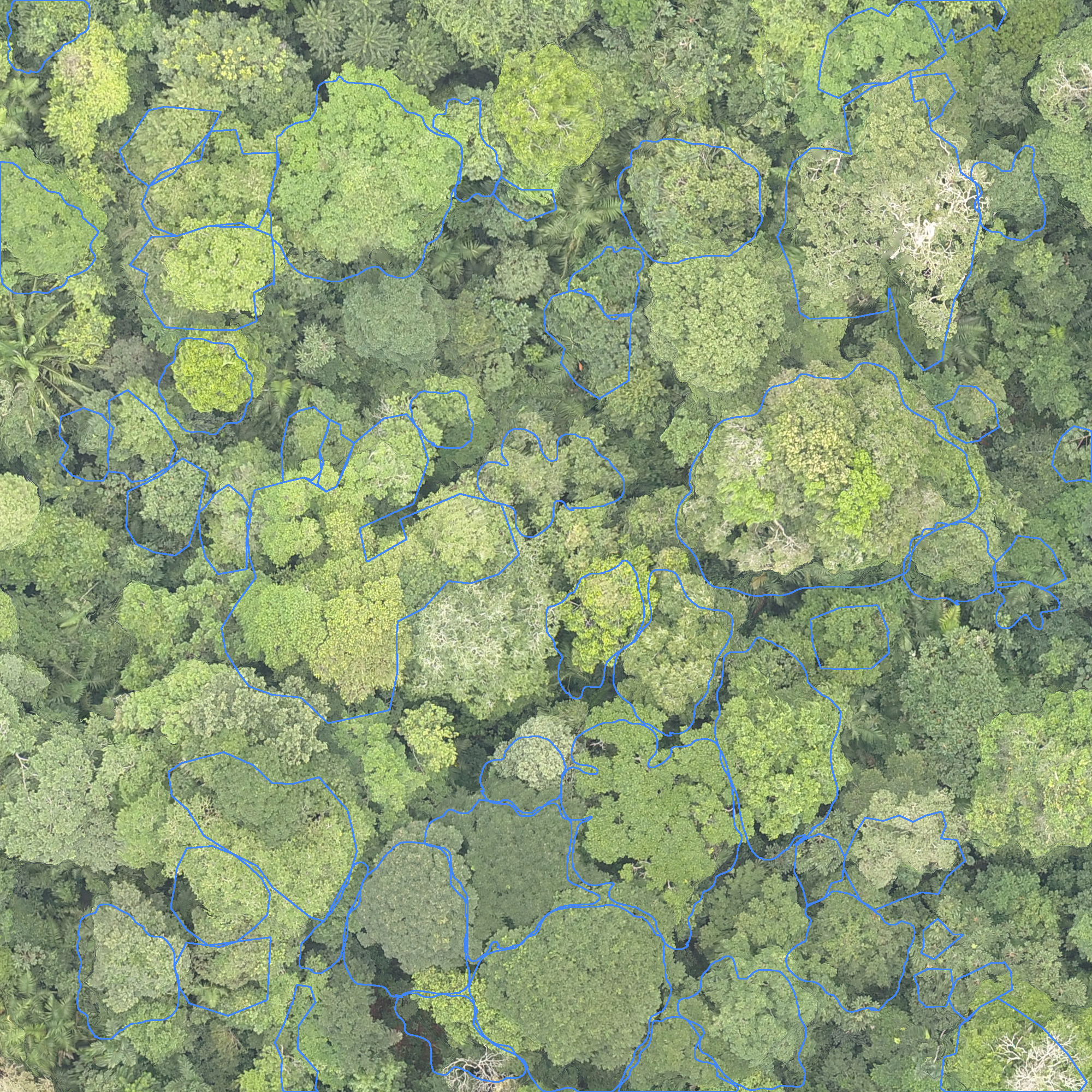 sample_image