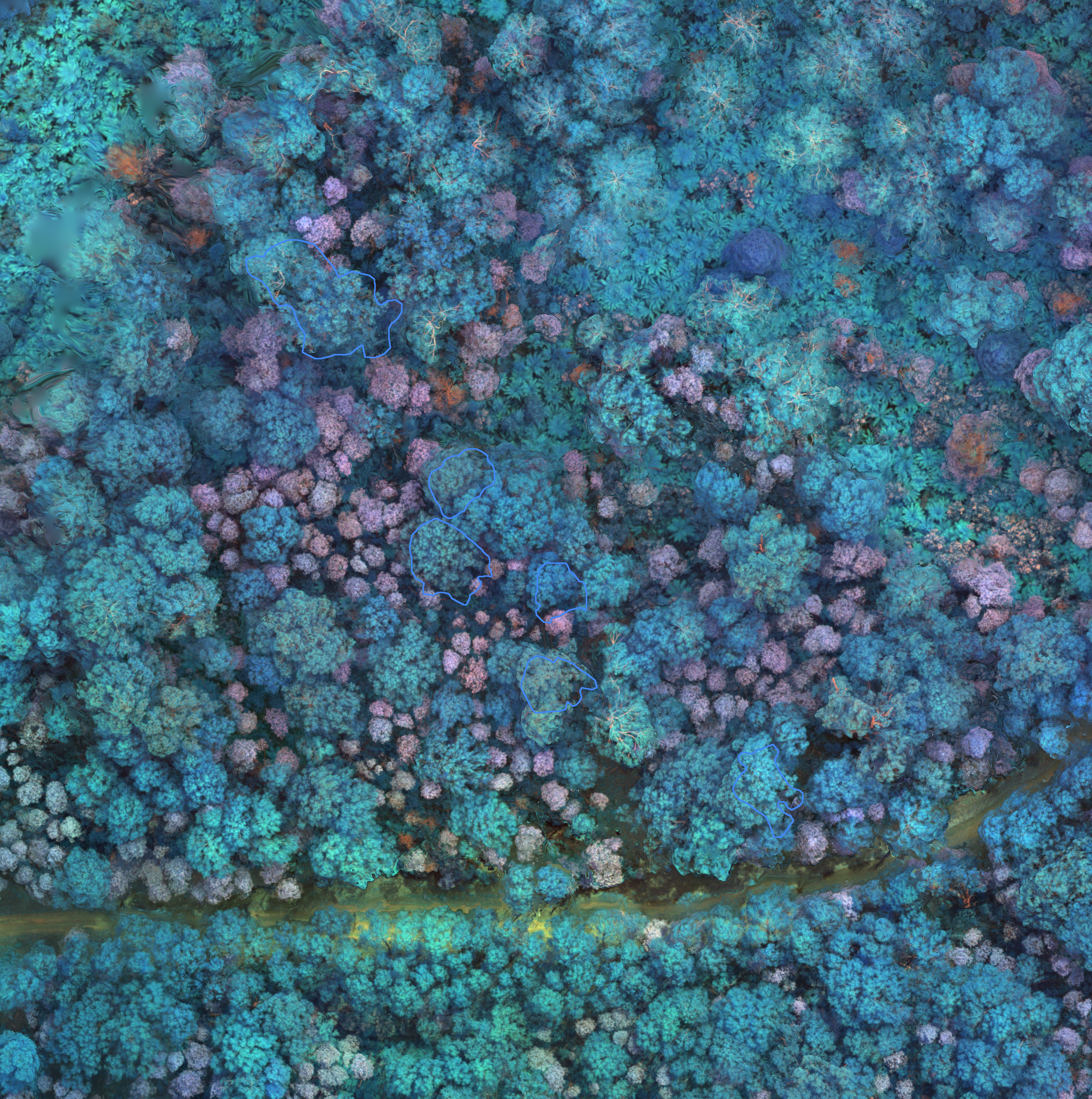 sample_image