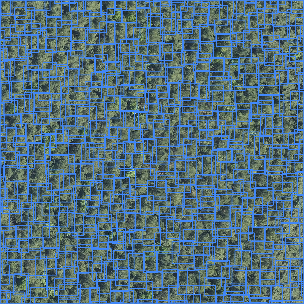 sample_image